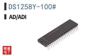 DS1258Y-100