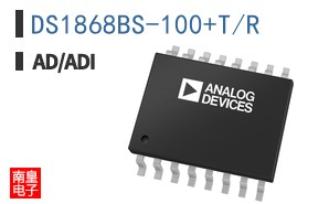 DS1868BS-100+T/R