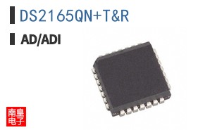 DS2165QN+T&R