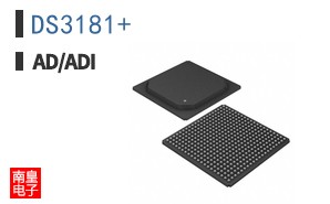 DS3181+