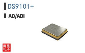 DS9101+